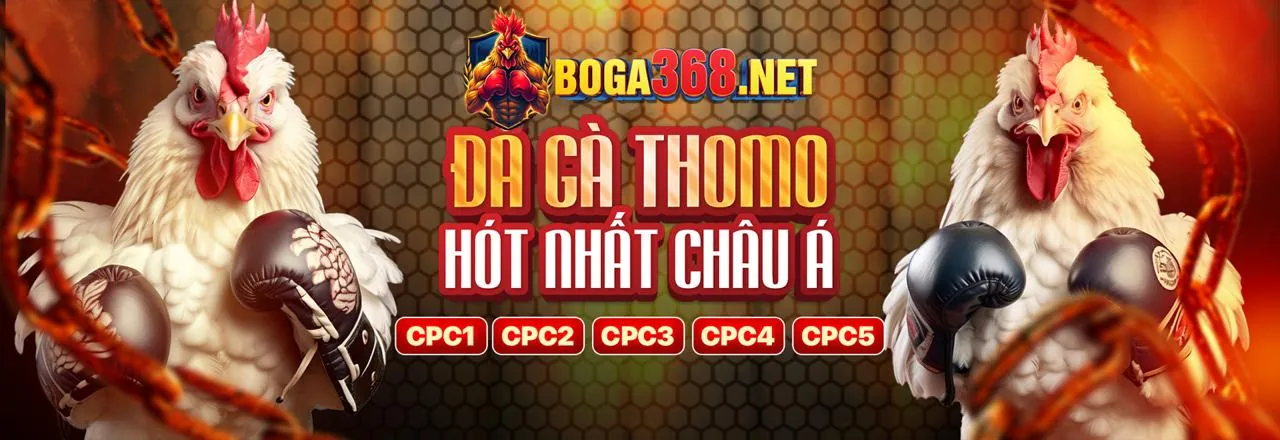Trải nghiệm công bằng và minh bạch